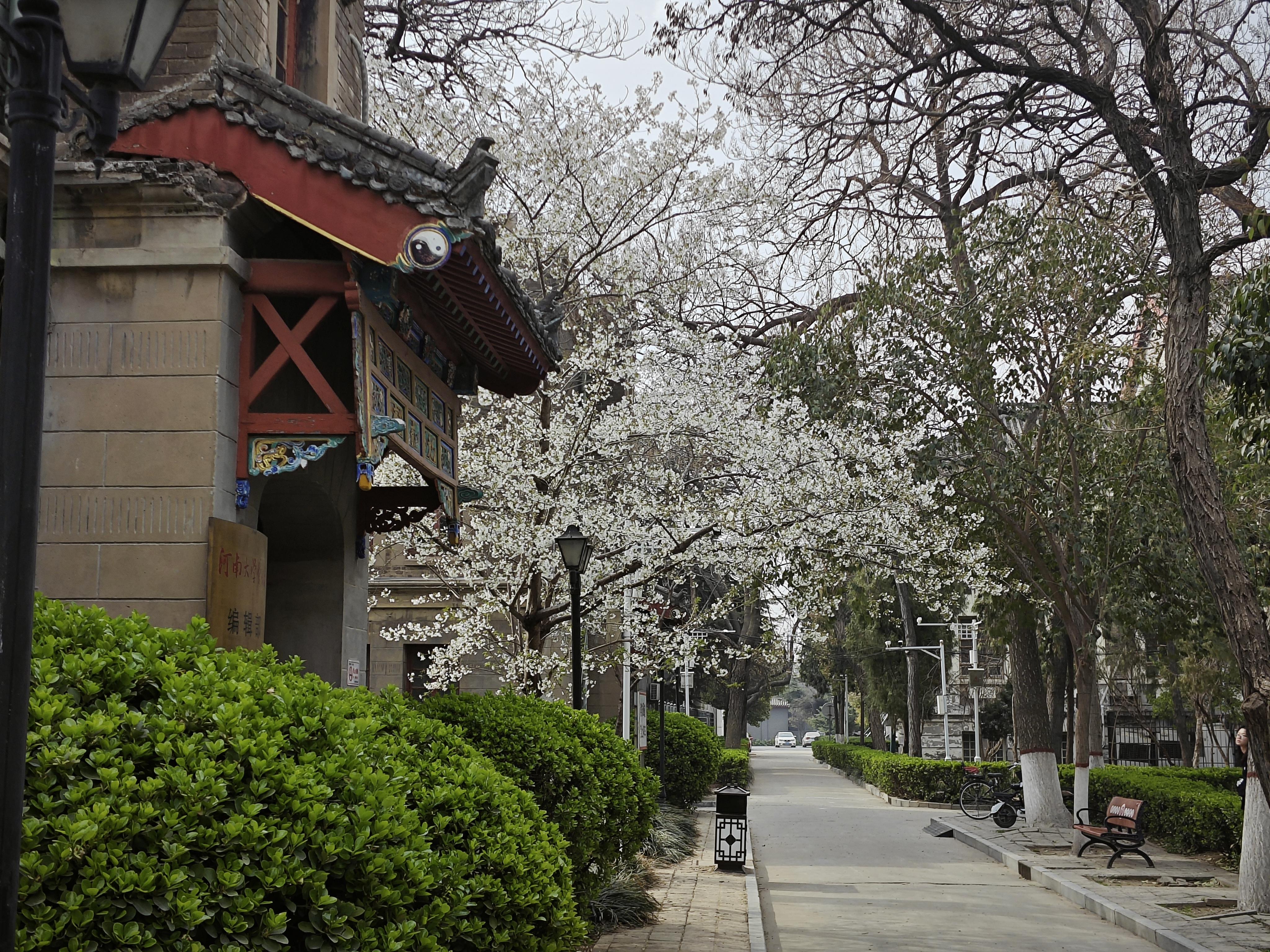 河南大学在哪里