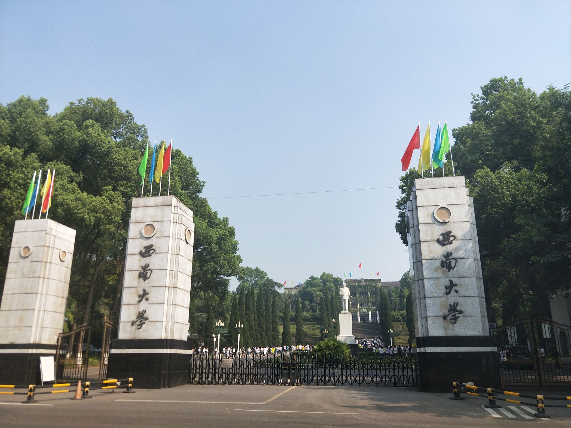 西南大学2024录取分数线