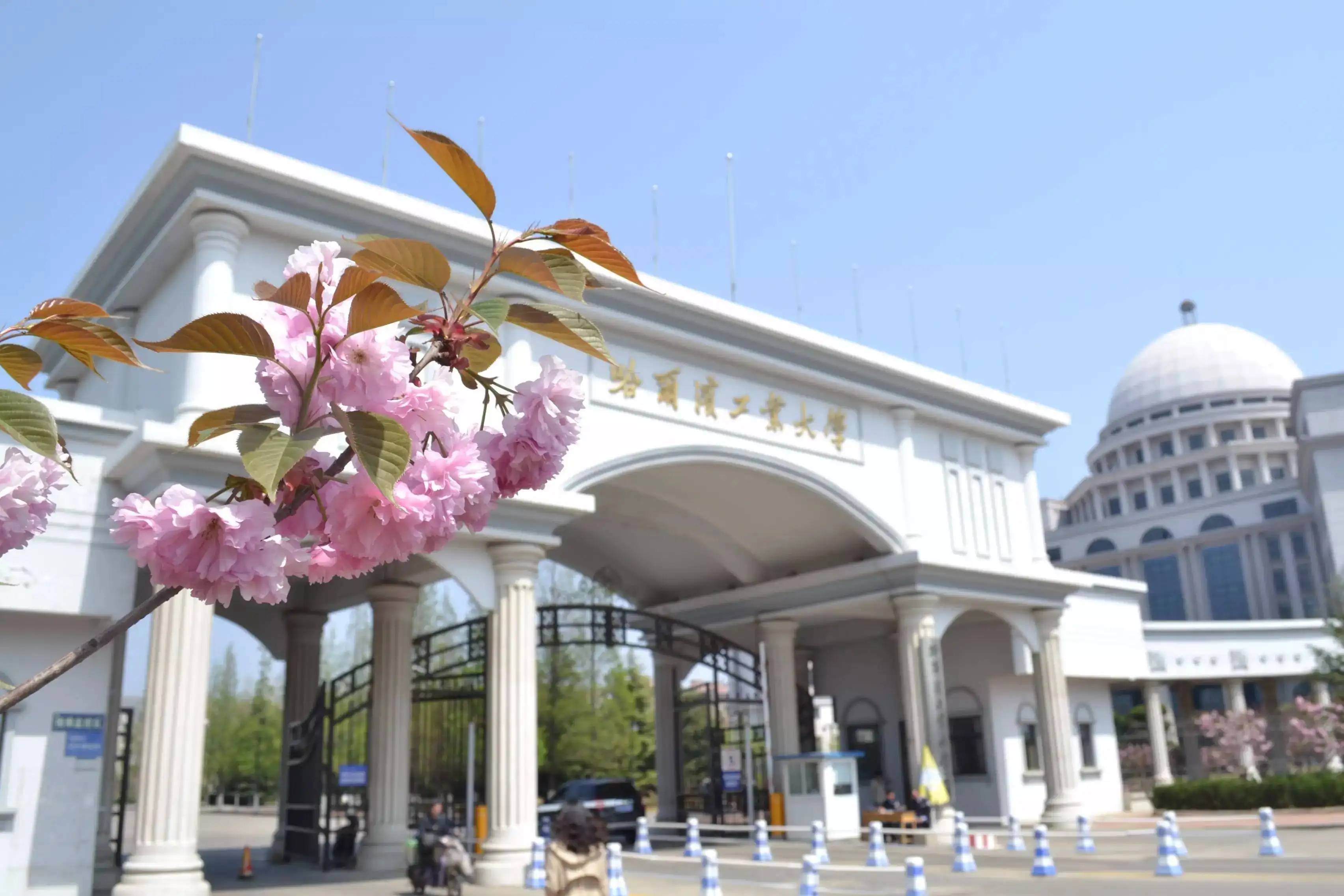 哈尔滨工业大学毕业证外壳